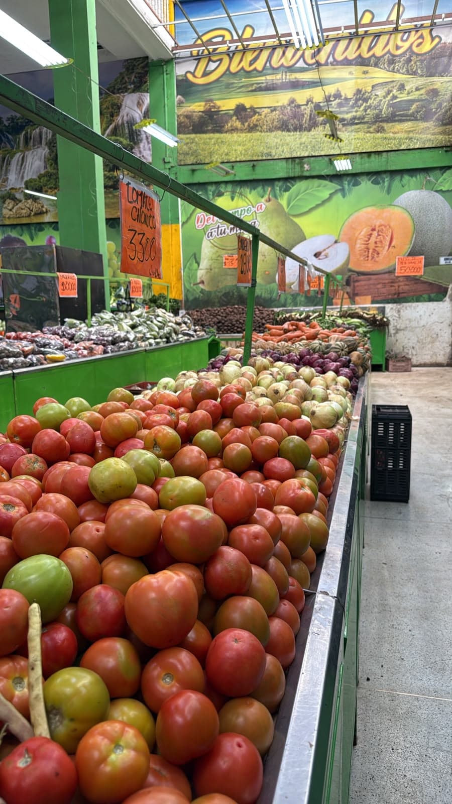 Tomates y verduras