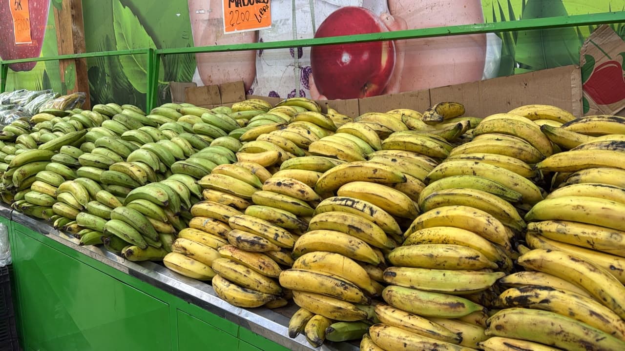 Plátanos